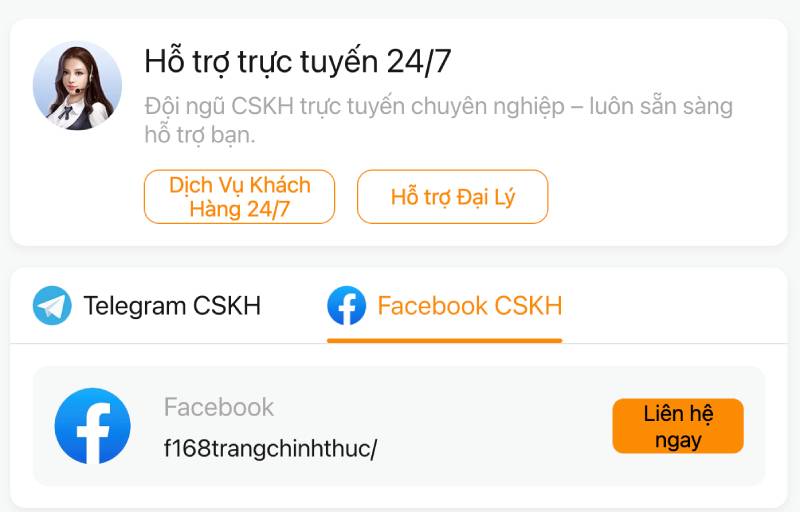 Dịch vụ khách hàng - Hỗ trợ 24/7, chuyên nghiệp và tận tâm